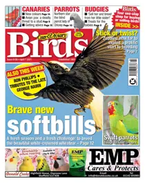 07/04/2021 
                issue 07/04/2021