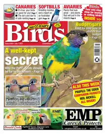 07/07/2021 
                issue 07/07/2021