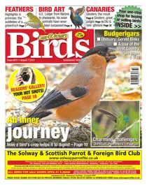 07/08/2019 
                issue 07/08/2019