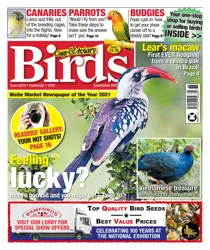 07/09/2022 
                issue 07/09/2022