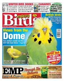 08 November 2017 
                issue 08 November 2017