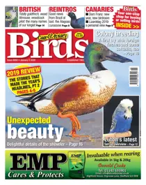 08/01/2020 
                issue 08/01/2020