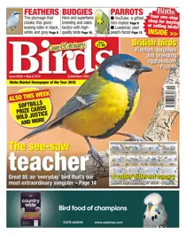 08/05/2019 
                issue 08/05/2019