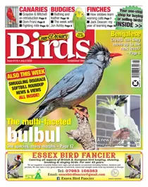 08/07/2020 
                issue 08/07/2020