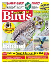 08/09/2021 
                issue 08/09/2021