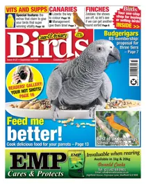 09-09-2020 
                issue 09-09-2020