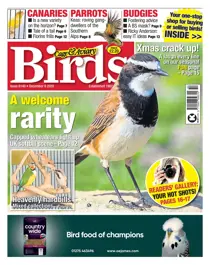 09-12-2020 
                issue 09-12-2020