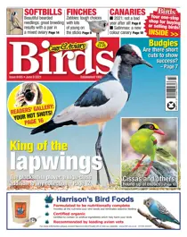 09/06/2021 
                issue 09/06/2021