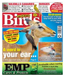 1-Feb-23 
                issue 1-Feb-23