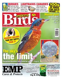 10 January 2018 
                issue 10 January 2018