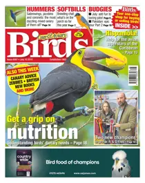 10/07/2019 
                issue 10/07/2019