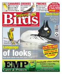 Cage & Aviary Birds 
                issue 10th December 2025