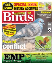 Cage & Aviary Birds Discounts