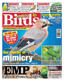 10th October 2018 
                issue 10th October 2018