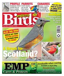 10th September 2025 
                issue 10th September 2025