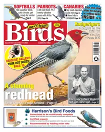 11-11-2020 
                issue 11-11-2020