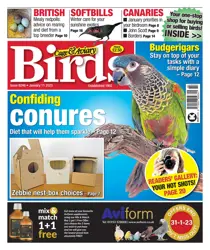 11-Jan-23 
                issue 11-Jan-23