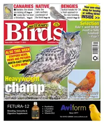 11-Oct-23 
                issue 11-Oct-23