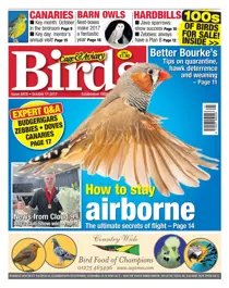 11 October 2017 
                issue 11 October 2017