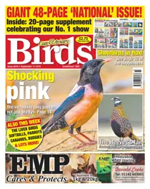 11/09/2019 
                issue 11/09/2019