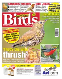 11/12/2019 
                issue 11/12/2019