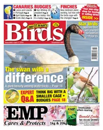 11th April 2018 
                issue 11th April 2018