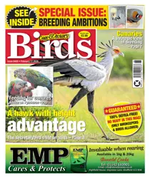 Cage & Aviary Birds issue 11th February 2026