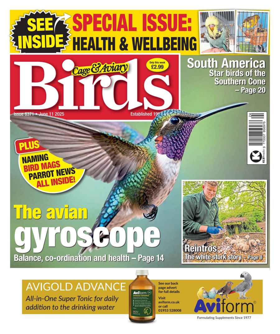 CAGE AND AVIARY BIRDS