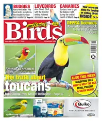 Cage & Aviary Birds 
                issue 11th March 2026