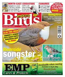 12-Apr-23 
                issue 12-Apr-23