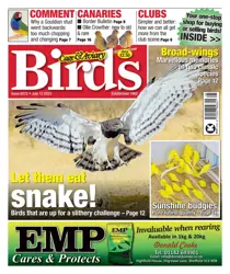 12-Jul-23 
                issue 12-Jul-23