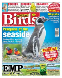 12 July 2017 
                issue 12 July 2017