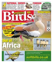 12-Oct-22 
                issue 12-Oct-22