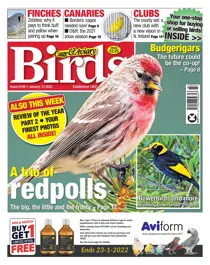 12/01/2022 
                issue 12/01/2022