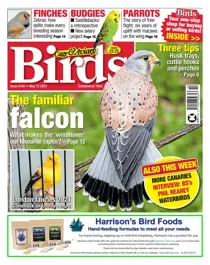 12/05/2021 
                issue 12/05/2021