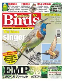 12/06/2019 
                issue 12/06/2019