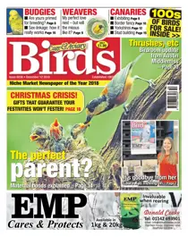 12th December 2018 
                issue 12th December 2018