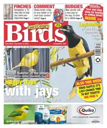 13-Dec-23 
                issue 13-Dec-23