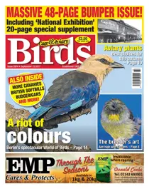 13 September 2017 
                issue 13 September 2017