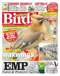 13/03/2019 
                issue 13/03/2019