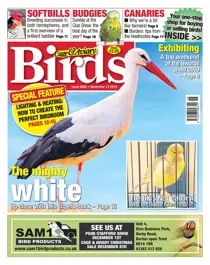 13/11/2019 
                issue 13/11/2019