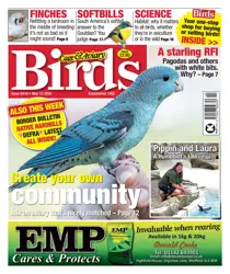 13th May 2026 
                issue 13th May 2026