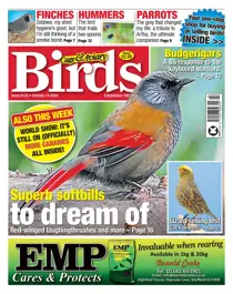 14-10-2020 
                issue 14-10-2020