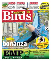 14-Feb-24 
                issue 14-Feb-24