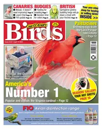 14/04/2021 
                issue 14/04/2021