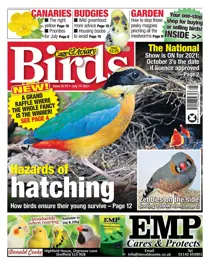 14/07/2021 
                issue 14/07/2021