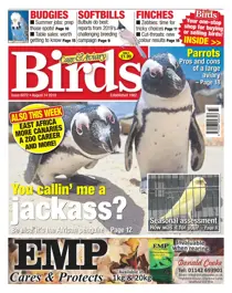 14/08/2019 
                issue 14/08/2019