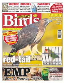 14th November 2018 
                issue 14th November 2018