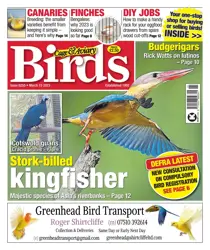 15-Mar-23 
                issue 15-Mar-23