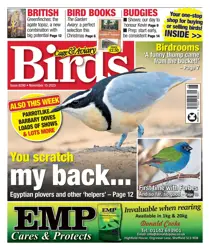 15-Nov-23 
                issue 15-Nov-23